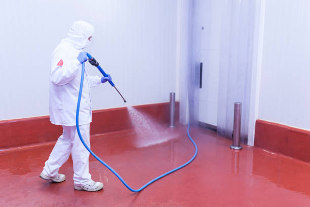 Best Driveway Pressure Washing  in Bulverde, TX