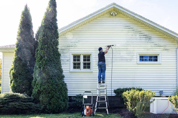 Professional Pressure Washing in Bulverde, TX