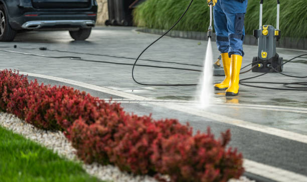 Best Building Exterior Washing  in Bulverde, TX